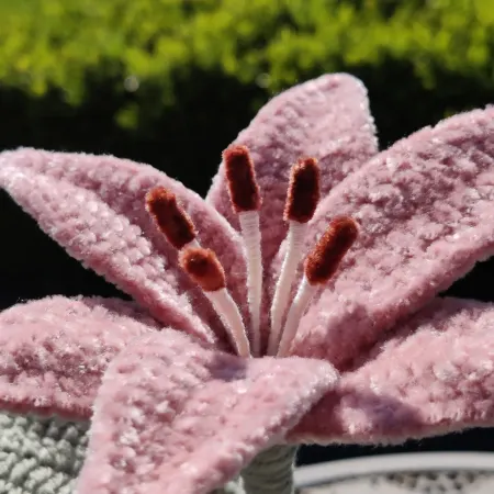 Crochet Pink Lily 💕