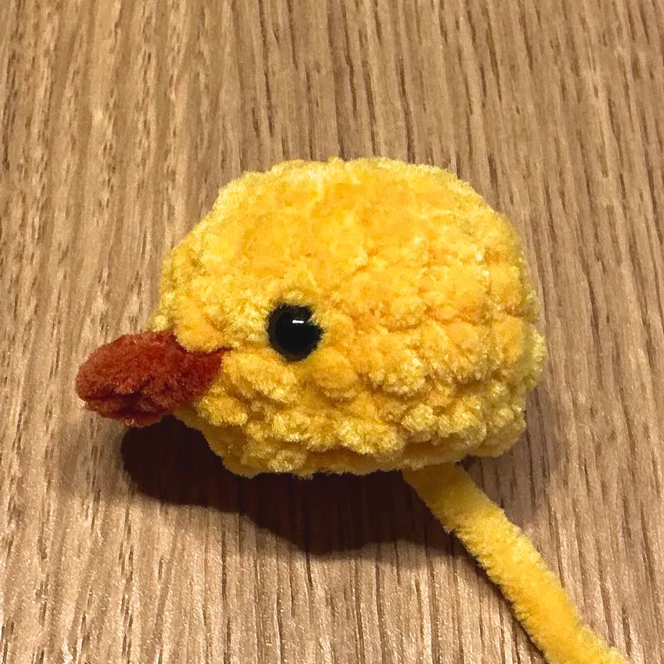 Beak note photo