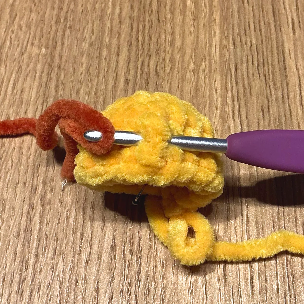 Beak note photo