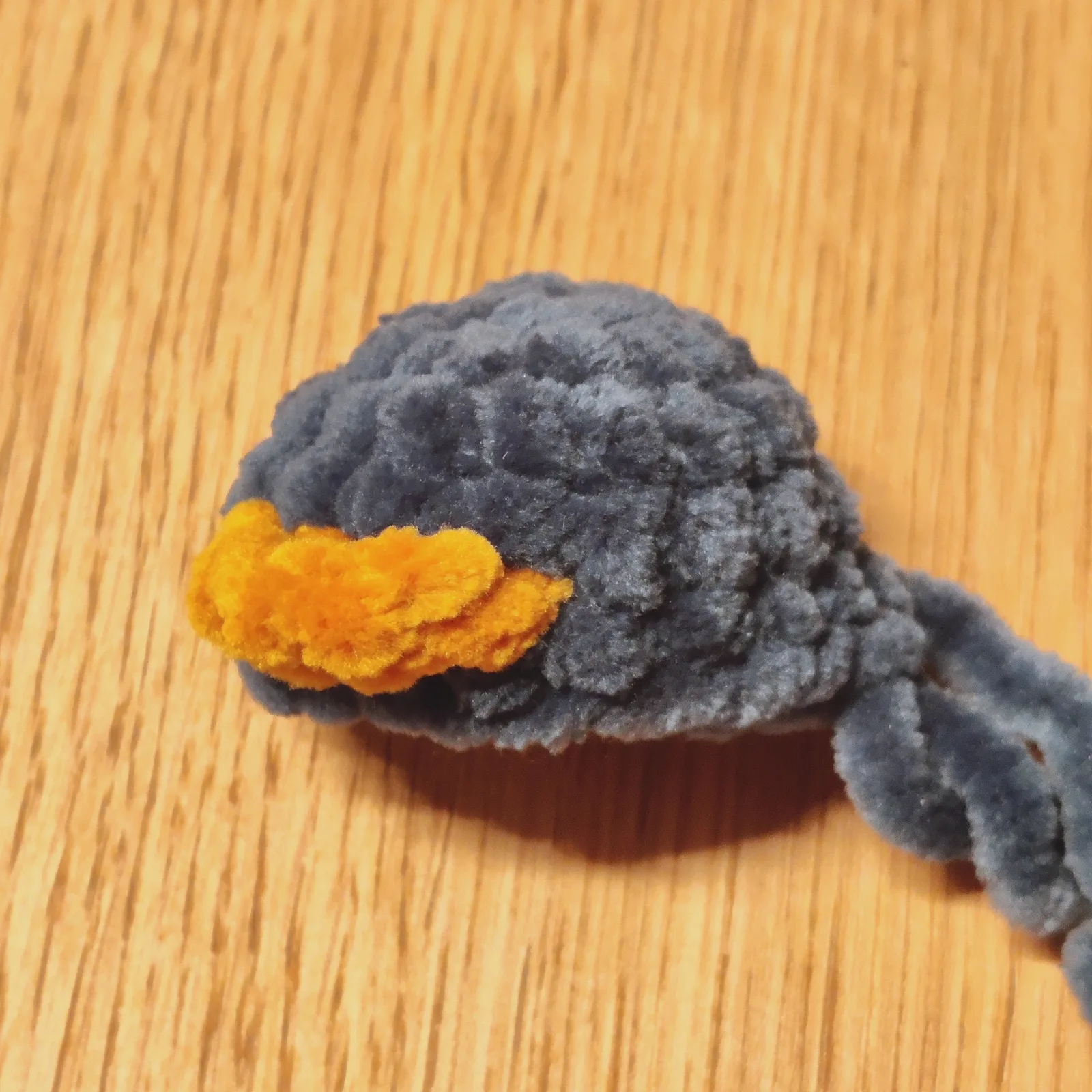 Beak note photo